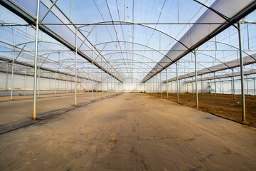 empty greenhouse2