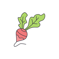 radish icon in color, isolated on white background 