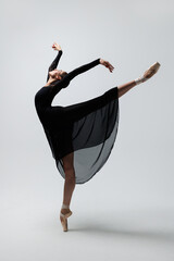 Elegant ballerina. A young graceful ballet dancer, dressed in pointes shoes demonstrates her dance...