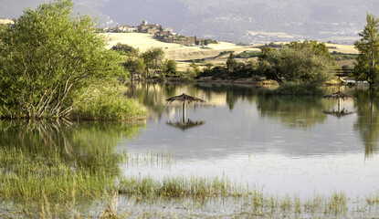Reservoir with umbrellas