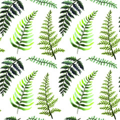 Watercolor seamless pattern with fern leaves, brunches, summer forest background.