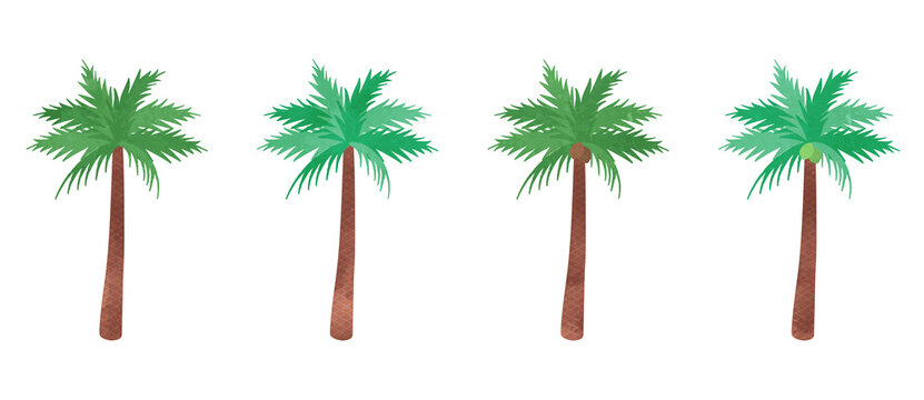 Cute palm tree illustration set