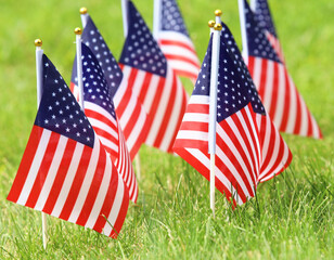 American flags on grass. Independence Day concept. USA holiday.