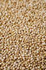 white quinoa seeds on a white acrylic background