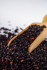 black quinoa seeds on a white acrylic background