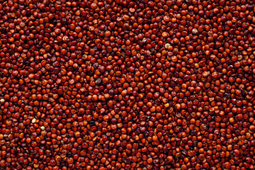 red quinoa seeds on a white acrylic background