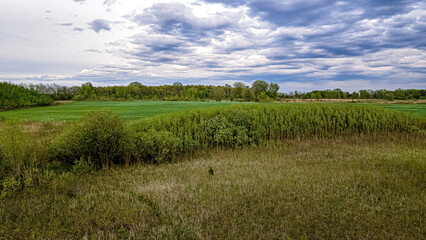 Fototapeta na wymiar A spring view of a rural meadow