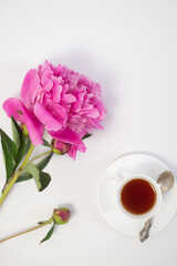 Pink peony with a cup of tea on a white background.