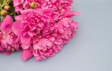 Bouquet of peonies on a blue background. empty space for text.