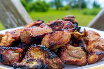 Appetizing grilled ribs isolated on white background. Grilled veal ribs