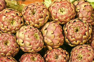 Fototapeta premium Artischocke