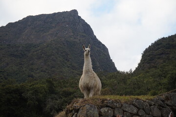 FOTOS PAISAJES