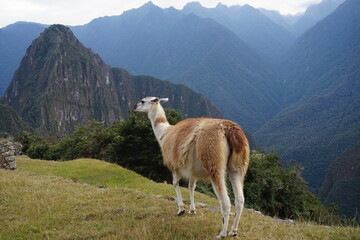 PAISAJE MONTAÑA