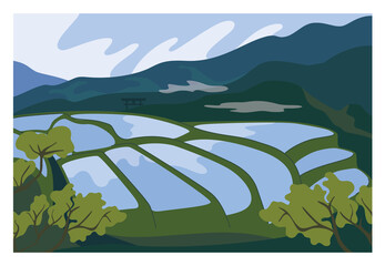 East country rice fields. Terraced plantation on cascade field