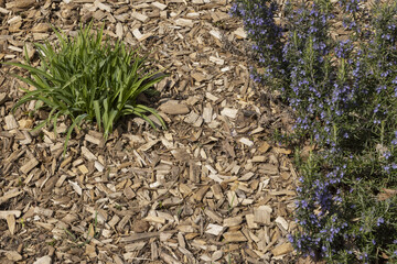 Paillage de lin d'un massif