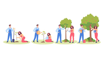 Fototapeta premium People growing apple tree. Cartoon man and woman gardening, planting fruit tree, watering and harvesting apples. Gardening, nature concept for website or landing page