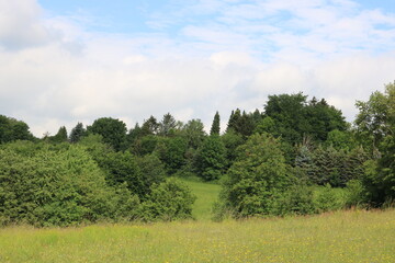 Naturlandschaft im Bergischen Land im Sommer