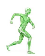 Fototapeta na wymiar average man muscle maps is doing a angry walk
