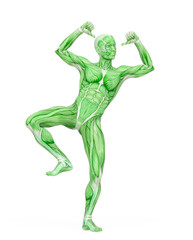 average man muscle maps is doing a cool hiphop pose