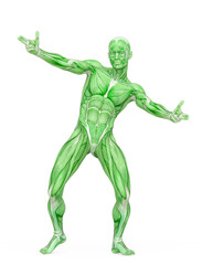 average man muscle maps is doing a free hiphop pose