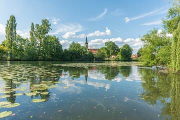 Obraz premium Village by river with water lilies in spring.