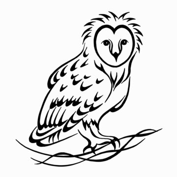 Owl sitting on branch. Decorative owl hand drawn,. Black and white linear drawing. Vector image. Calligraphic drawing.