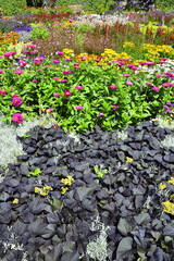 Gruga park in Essen Germany