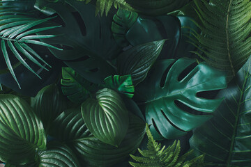 Nature jungle background made of green tropical leavs. Flat lay. Creative summer idea. Nature concept.