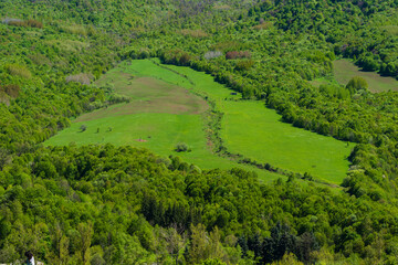 Obraz premium Spring landscape with field and forest, Armenia