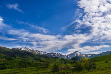 Mountain landscape with alpine forest, Armenia