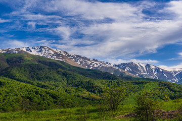 Fototapeta na wymiar Mountain landscape with alpine forest, Armenia