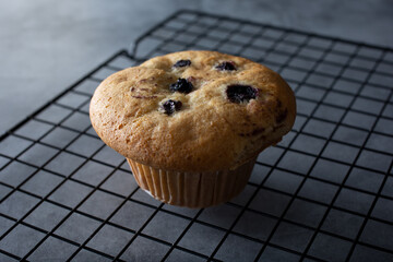 A view of a blueberry muffin.