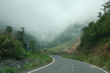 Clouds descended on the road passing through the jungle in the mountains.