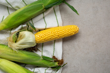 Fresh corn cob harvest top view copy space food
