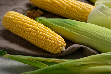 Close up of Organic sweet corn cob harvest copy space food