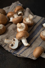 Close up of brown porcini on textil food champignon