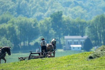 Amish man with his hors pulling a hay rake in a hay field on the farm | Amish country, Ohio