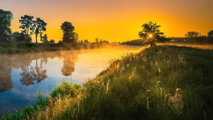 Foto op Plexiglas anti-reflex Zonsopgang op de Warta-rivier. Zon, mist en rivier bij dageraad © Michal45