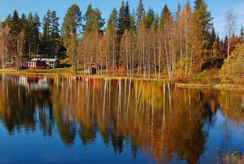 Trees with autumn yellow foliage on the shore of the lake on a sunny day