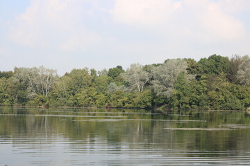 Bäume spiegeln sich im Wasser am Unterbacher See 