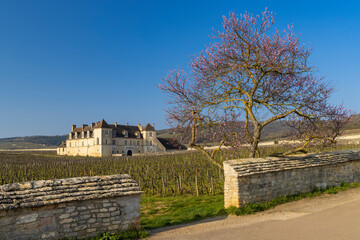 Fototapeta na wymiar Clos de Vougeot castle, Cote de Nuits, Burgundy, France