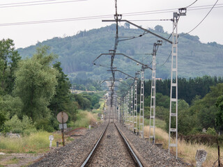 Train tracks are lost in the background under the electrified wires of the catenary in a landscape full of vegetation and the reverberation produced by the refraction of light on the train tracks