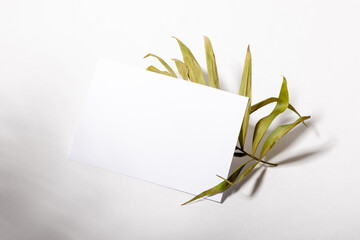 Mockup with blank horizontal sheets of paper with copy space. Hard sunlight and shadows on a white background with palm leaves. Template for business layout. Top view, flat lay