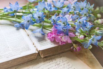 Close-up of Pink Stock and Blue Bellflowers on an Old Book and Letters
