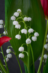 Branch with lily of the valley flowers against the background of a fresh green lily of the valley leaf close-up.