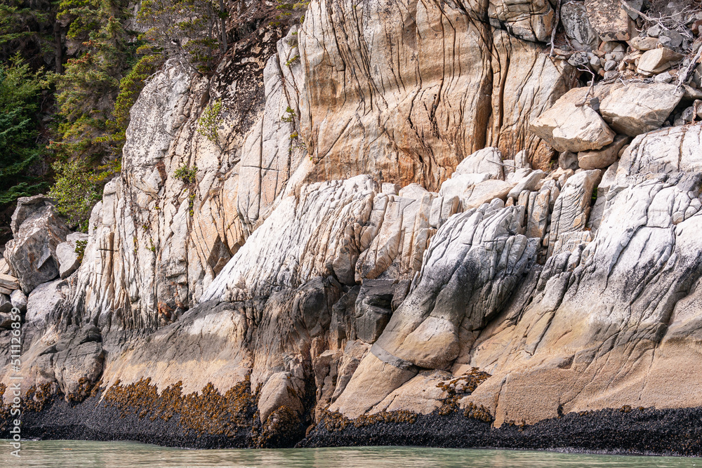 Wall mural Skagway, Alaska, USA - July 20, 2011: Taiya Inlet above Chilkoot Inlet. Closeup of brown-silver rocky cliff descending in green ocean water. Some green foliage on side. 