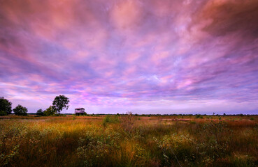View across a natural resevoire in Germany