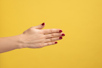 Closeup profile side view of woman showing the back of the hand, beautiful soft skin of female hand, handshake. Indoor studio shot isolated on yellow background.