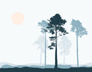 Set of Realistic Tall Pines. Composition of Coniferous Trees. Forest Landscape. Twilight Park or forest plantation. Vector illustration