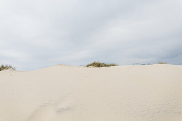 Fototapeta na wymiar Beautiful sandy beach near the sea